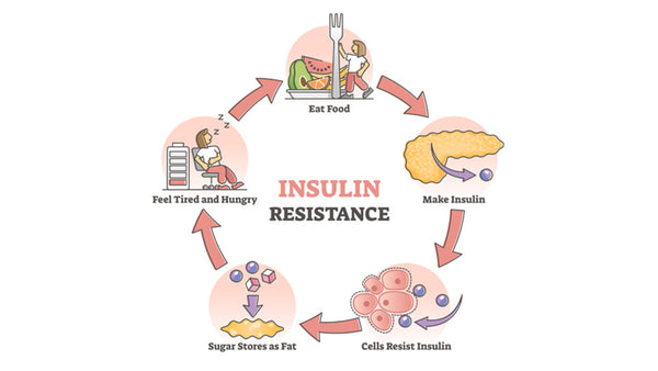 Understanding Insulin Resistance: A Deep Dive into a Key Factor in Diabetes